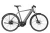 Riese & Müller Roadster Vario Grey Matt